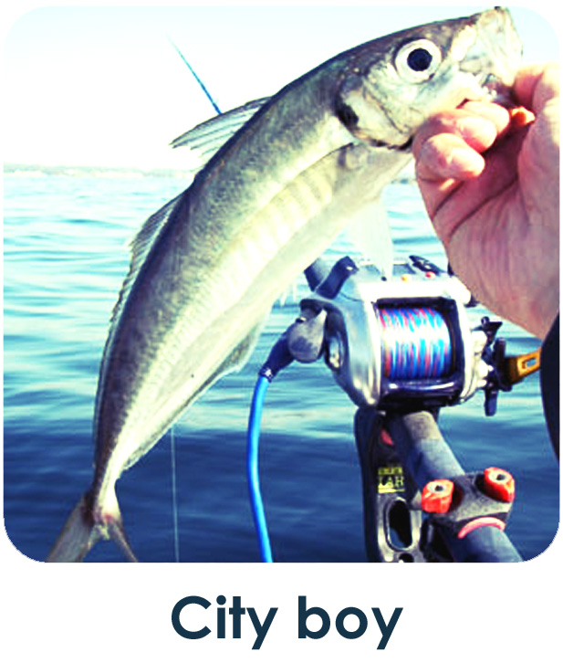 city boy